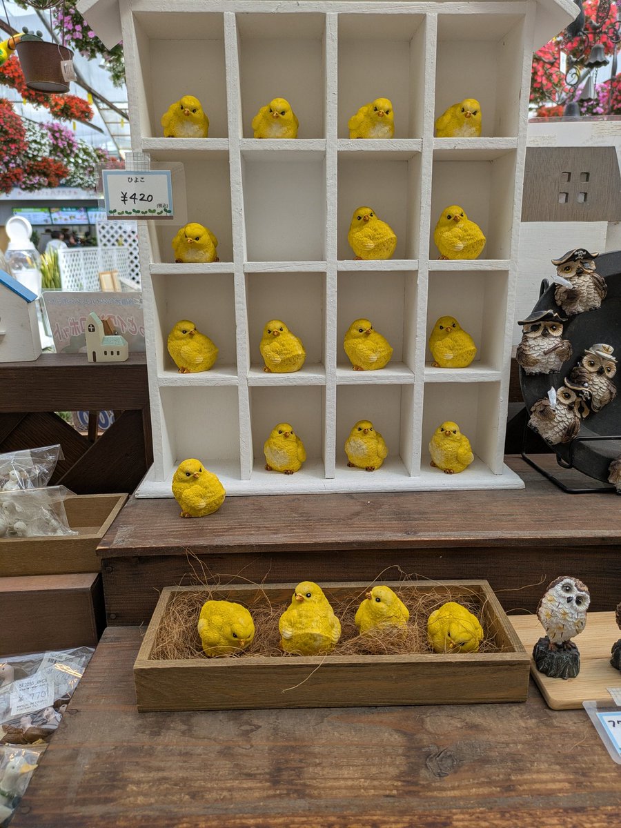 wave@UO介護Cooking tweet media