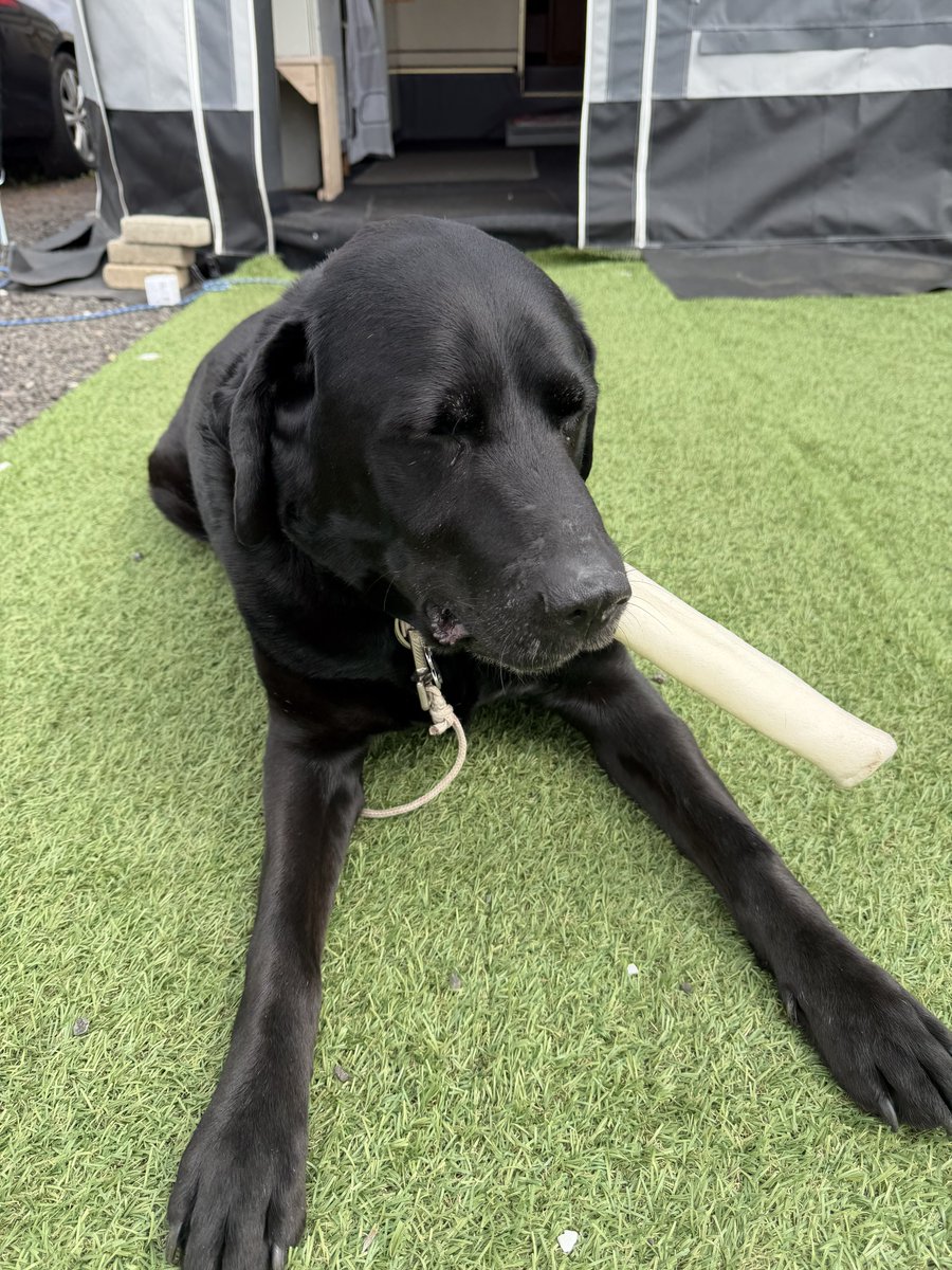 Josan✨ tweet media