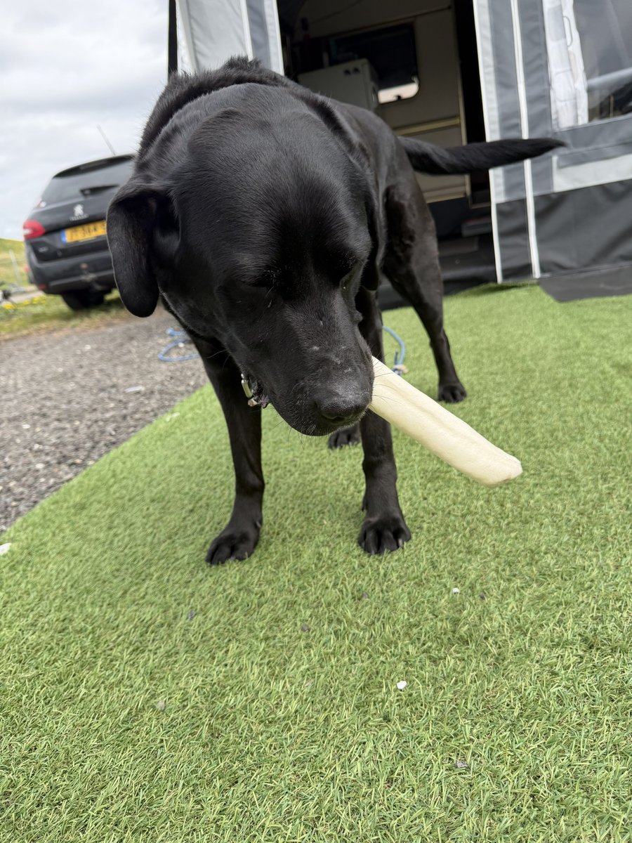 Josan✨ tweet media