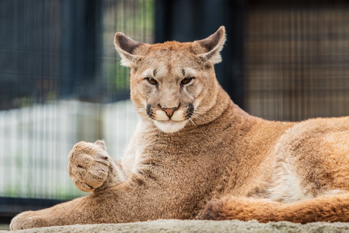 千潮祥路 tweet media