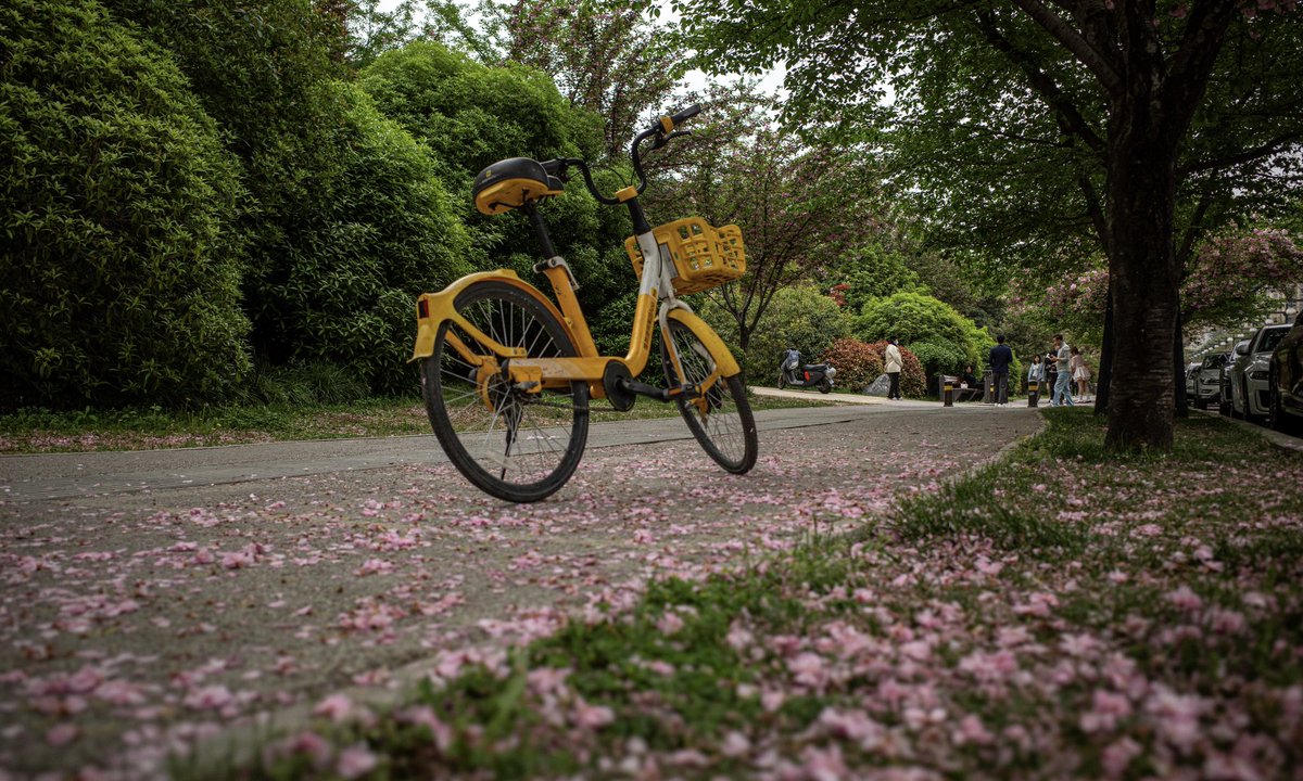 Meredeleo🇨🇦 tweet media