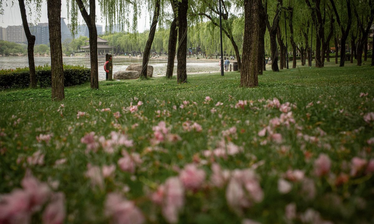 Meredeleo🇨🇦 tweet media