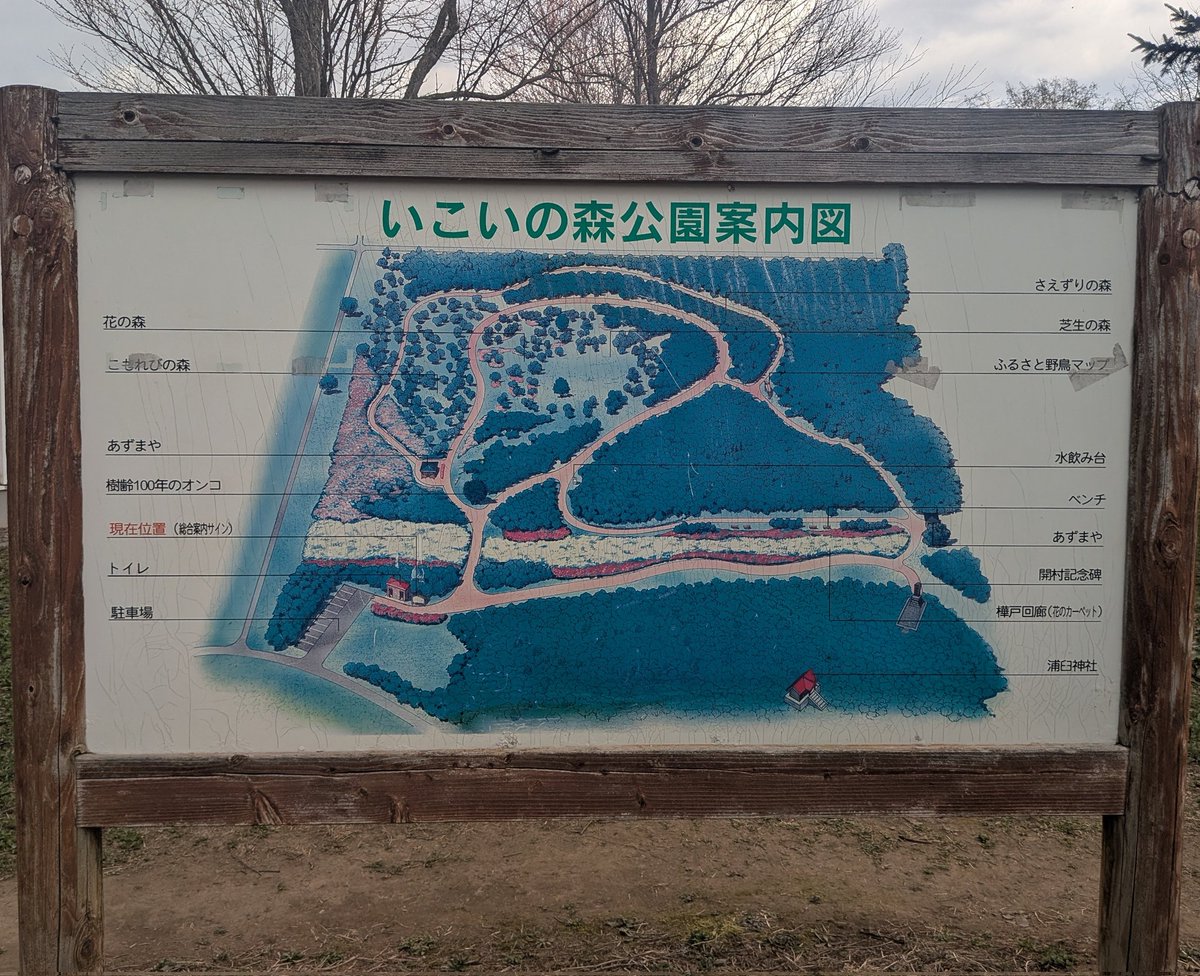 シュナファイブ tweet media