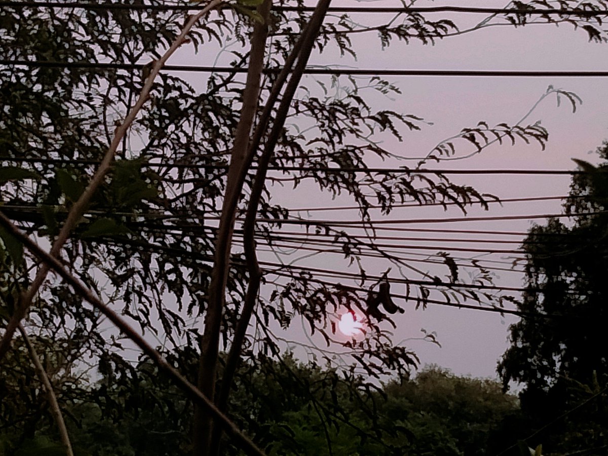 NiiRats's tweet image. พระอาทิตย์ส่องสว่าง 24 ชม. 
ไม่เคยบังคับให้เราเปลี่ยนนิสัย/พฤติกรรมที่ปกติเราก็อยู่ในมุมบีบอัดอยู่ก่อนแล้ว
หากมนุษย์นั้นบังคับคุณ ทั้งที่คุณไม่ได้ฆ่าใครโดยเจตนา ให้บอกมนุษย์กลุ่มนั้น เลิกคบคุณไปเสีย.  #Nature #Light  #Peace #Sunset 🌅✨👽 @NiiRats 
#NiiRatsSTUDIO