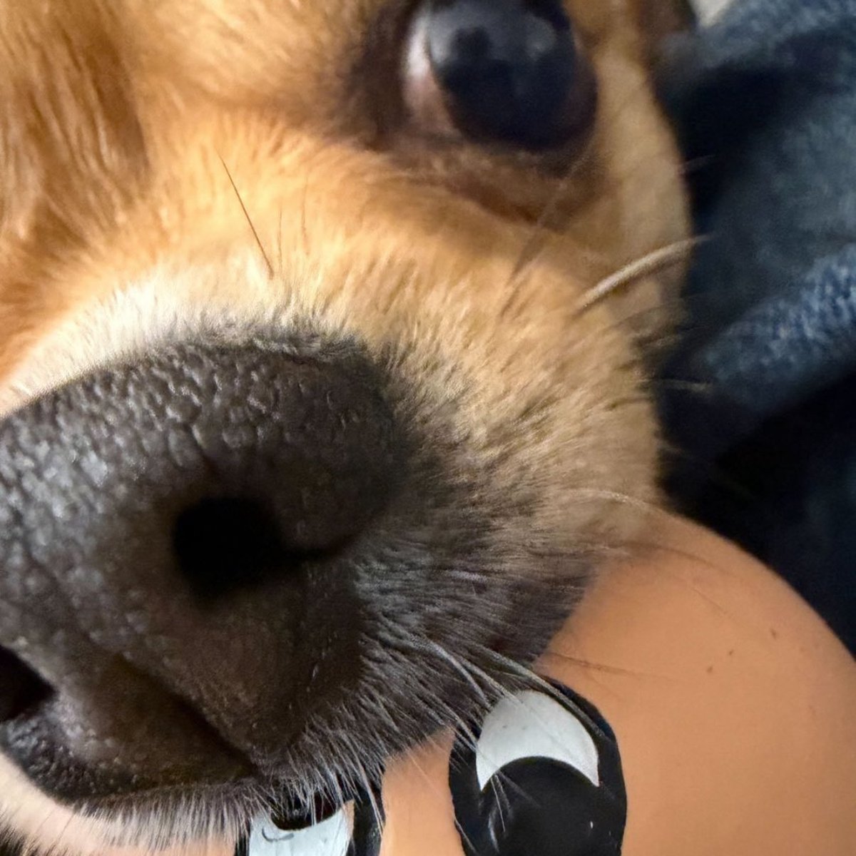 𝐒𝐨𝐬𝐨¡! sevEN- & JAYPRIL🧡 tweet media