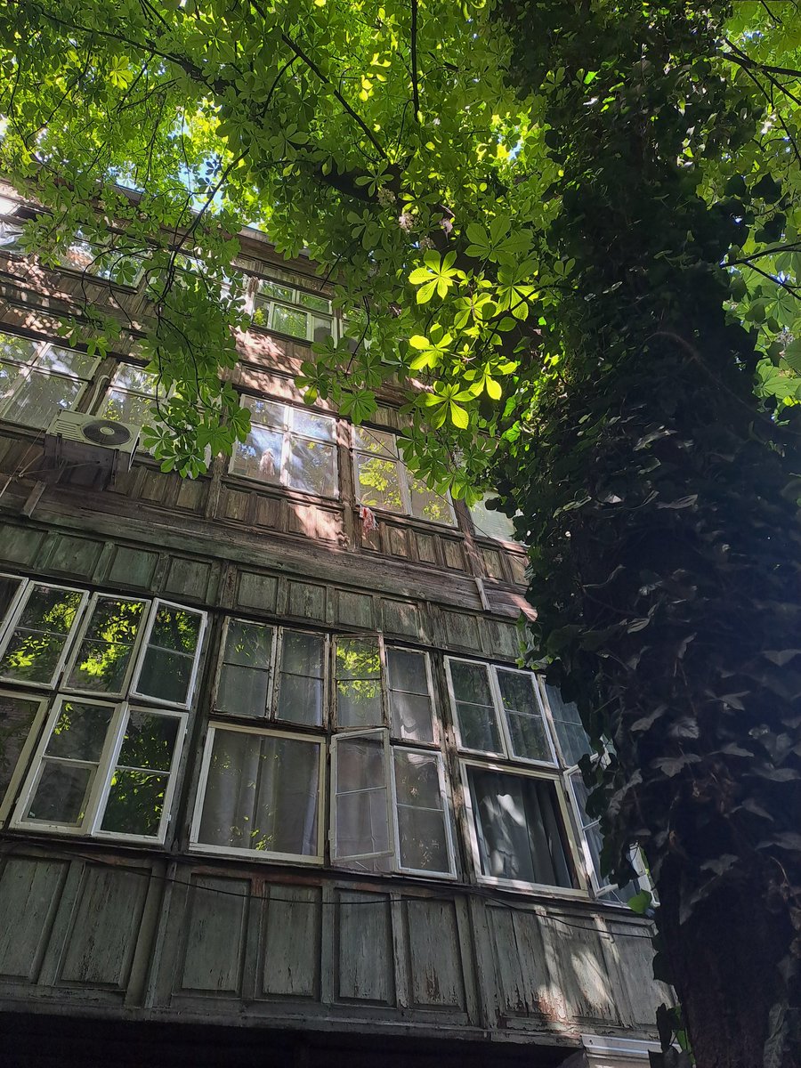 Днищебродский tweet media