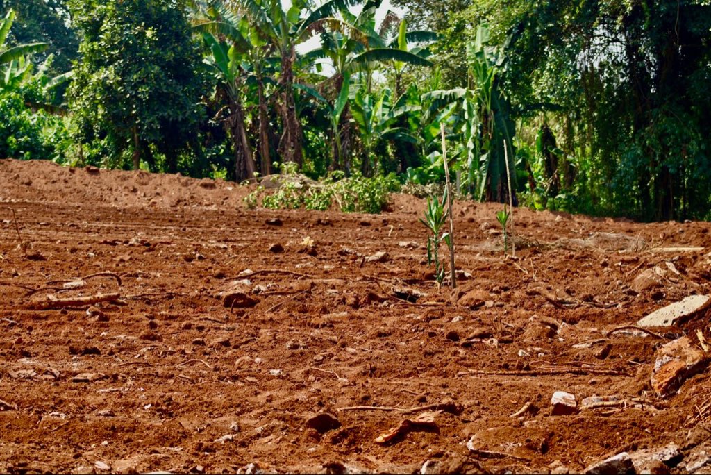 moshrealestates's tweet image. 🏗️ Your vision, our commitment

Trust Mosh Real Estate for reliable and efficient land development services. We help you transform land into meaningful, valuable spaces you can be proud of.

#MoshRealEstate #LandDevelopment #RealEstate #PropertySolutions #InvestSmart #Uganda