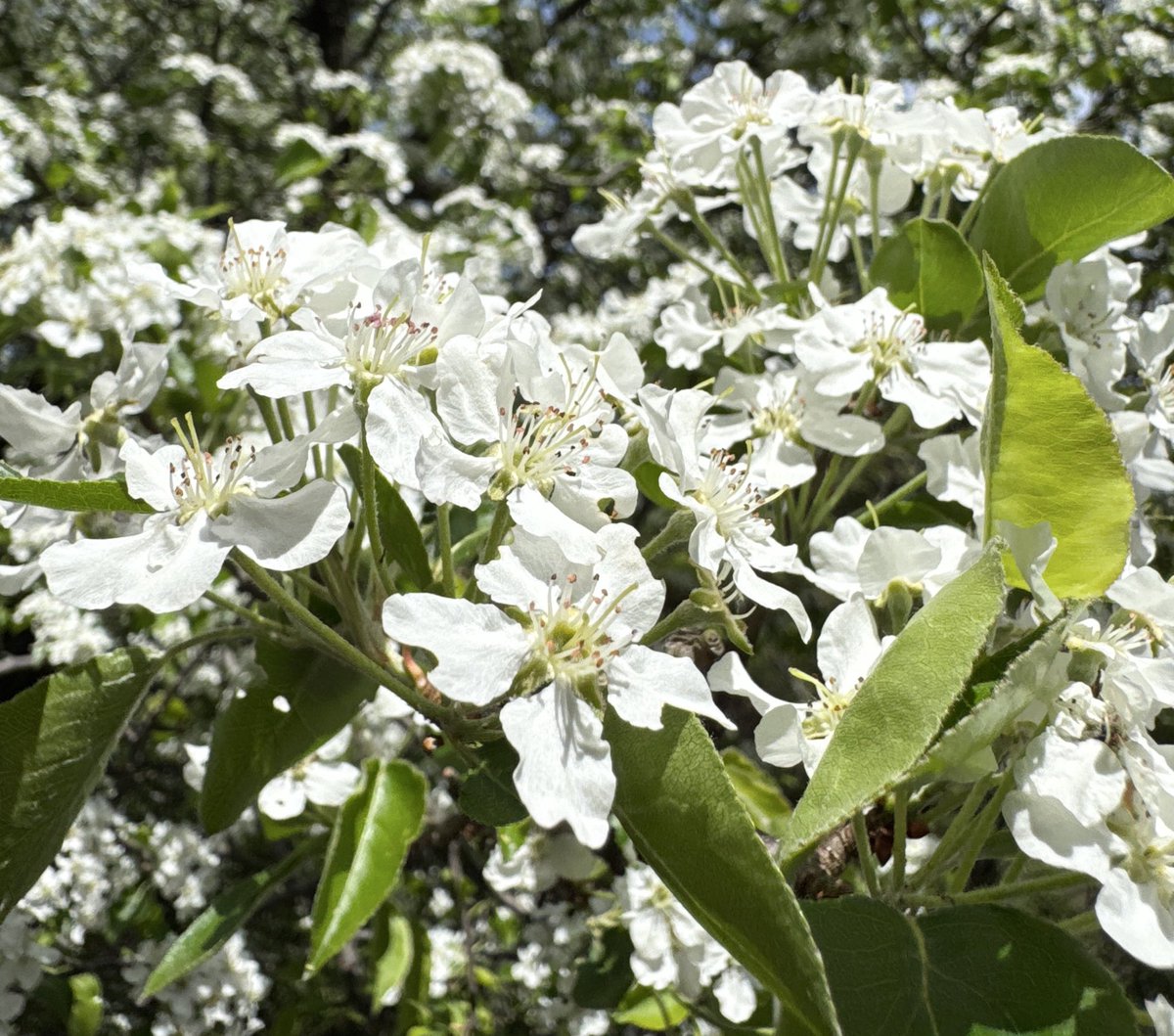 넘 피곤했나 졸았네....
너무 많은 곳을 다녔어 으...