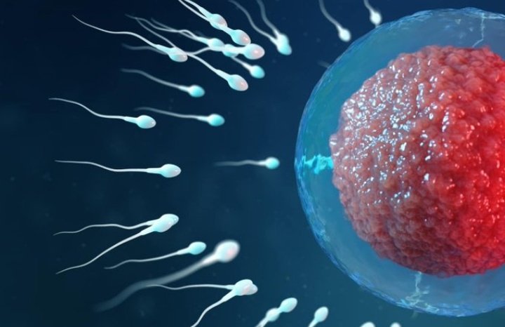 🦋Her Majesty💃💕 tweet media