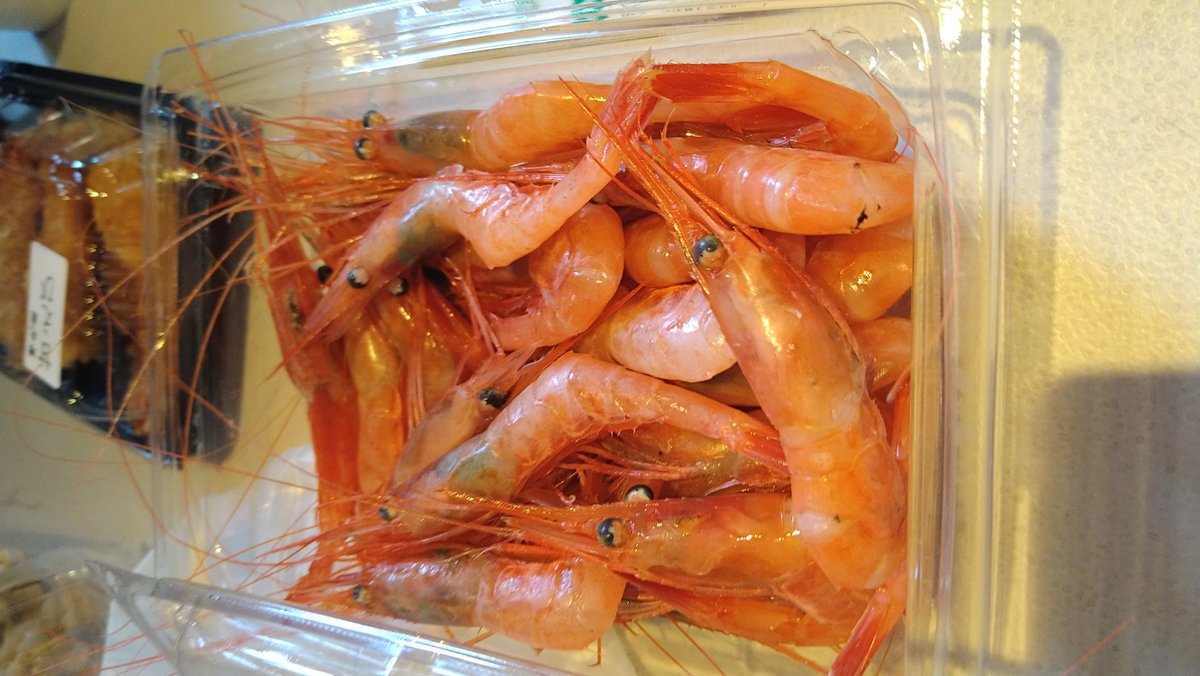 松丸札幌 tweet media