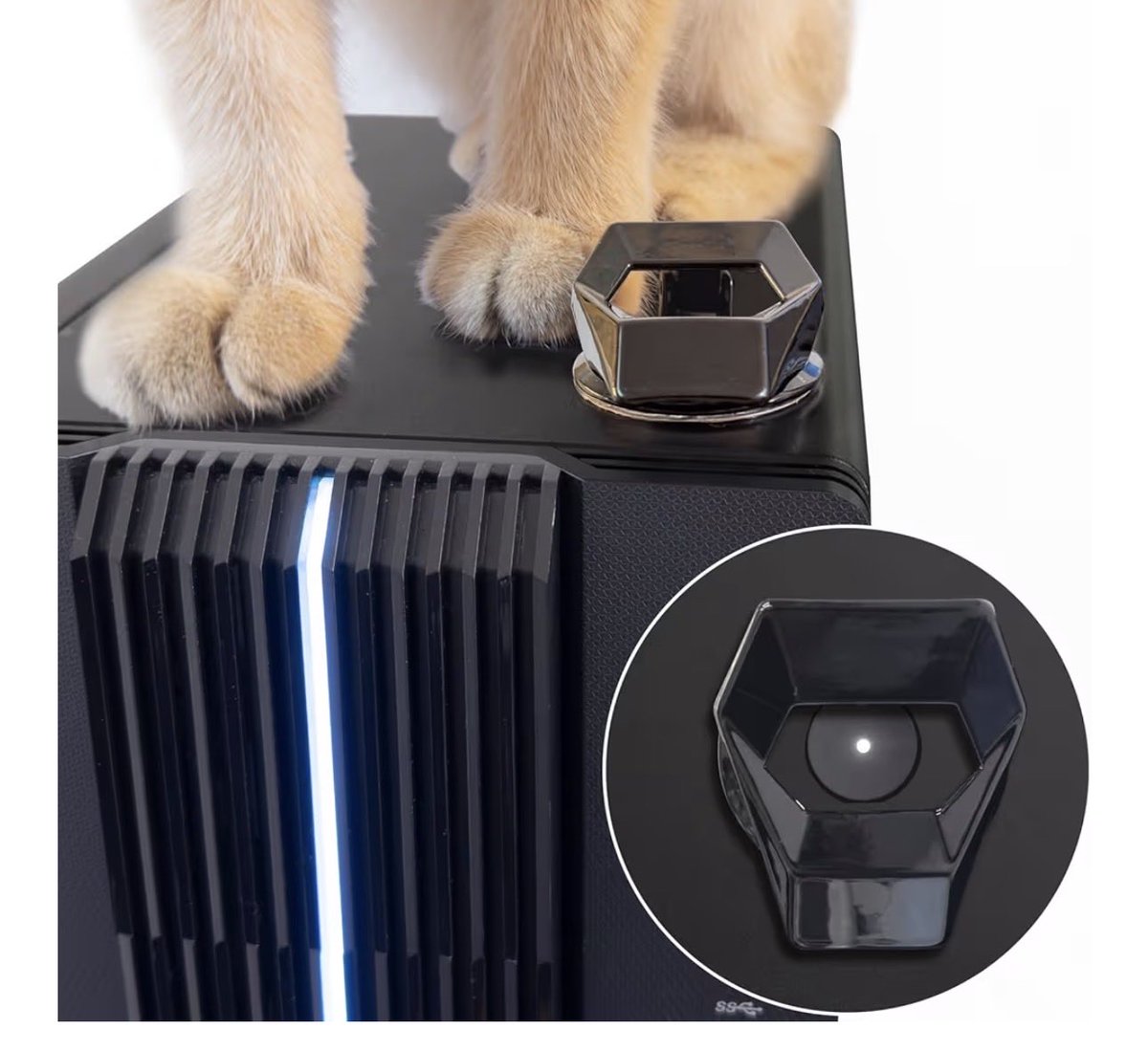 VIT | Azrod 🐝 tweet media