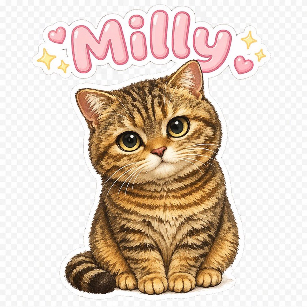 Mary 〜Millyのいる暮らし〜 tweet media