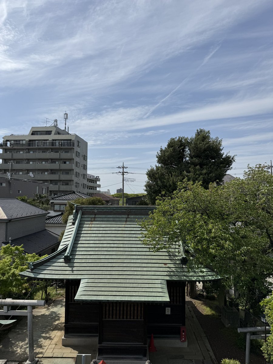 あやたん tweet media