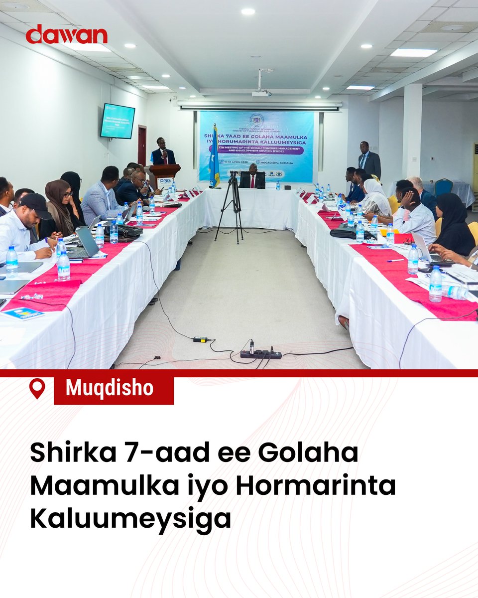 Dawan_tv's tweet image. Shirka 7-aad ee Golaha Maamulka iyo Horumarinta Kalluumeysiga oo socda #Muqdisho.
#Somalia