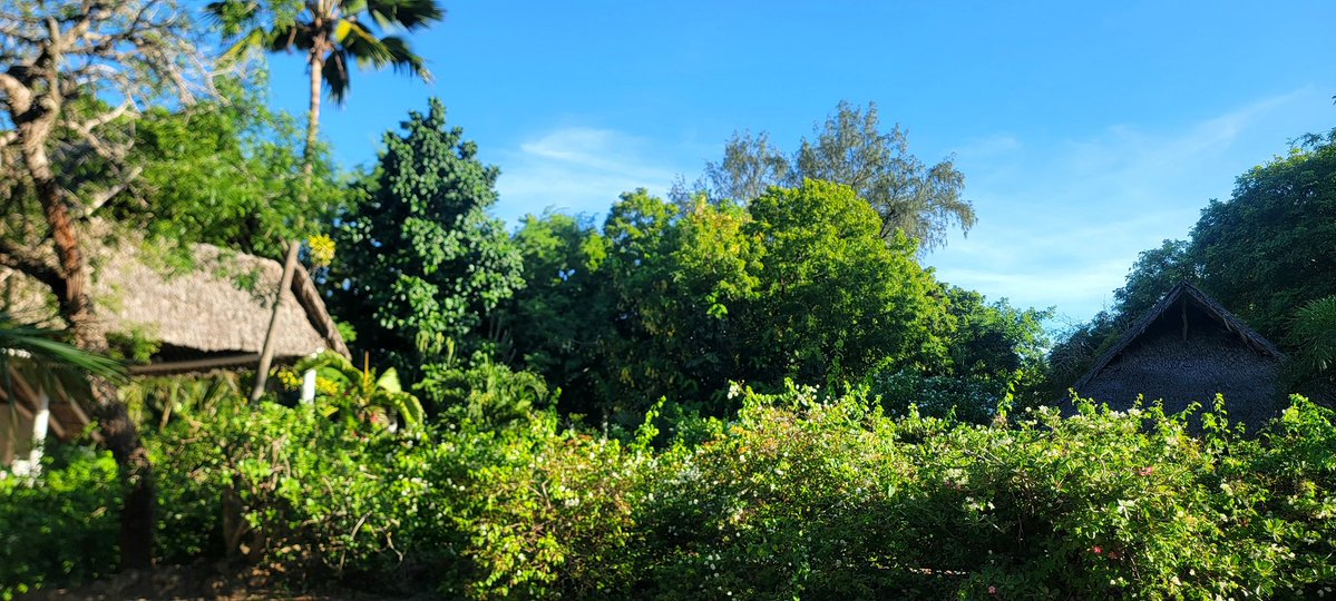 Muia 😎 tweet media