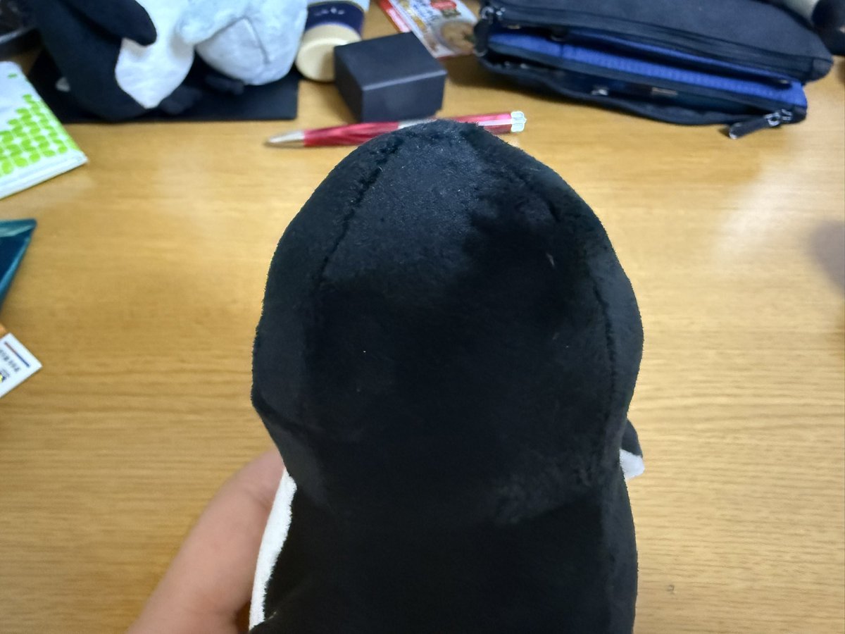 三毛野ニャー子 tweet media