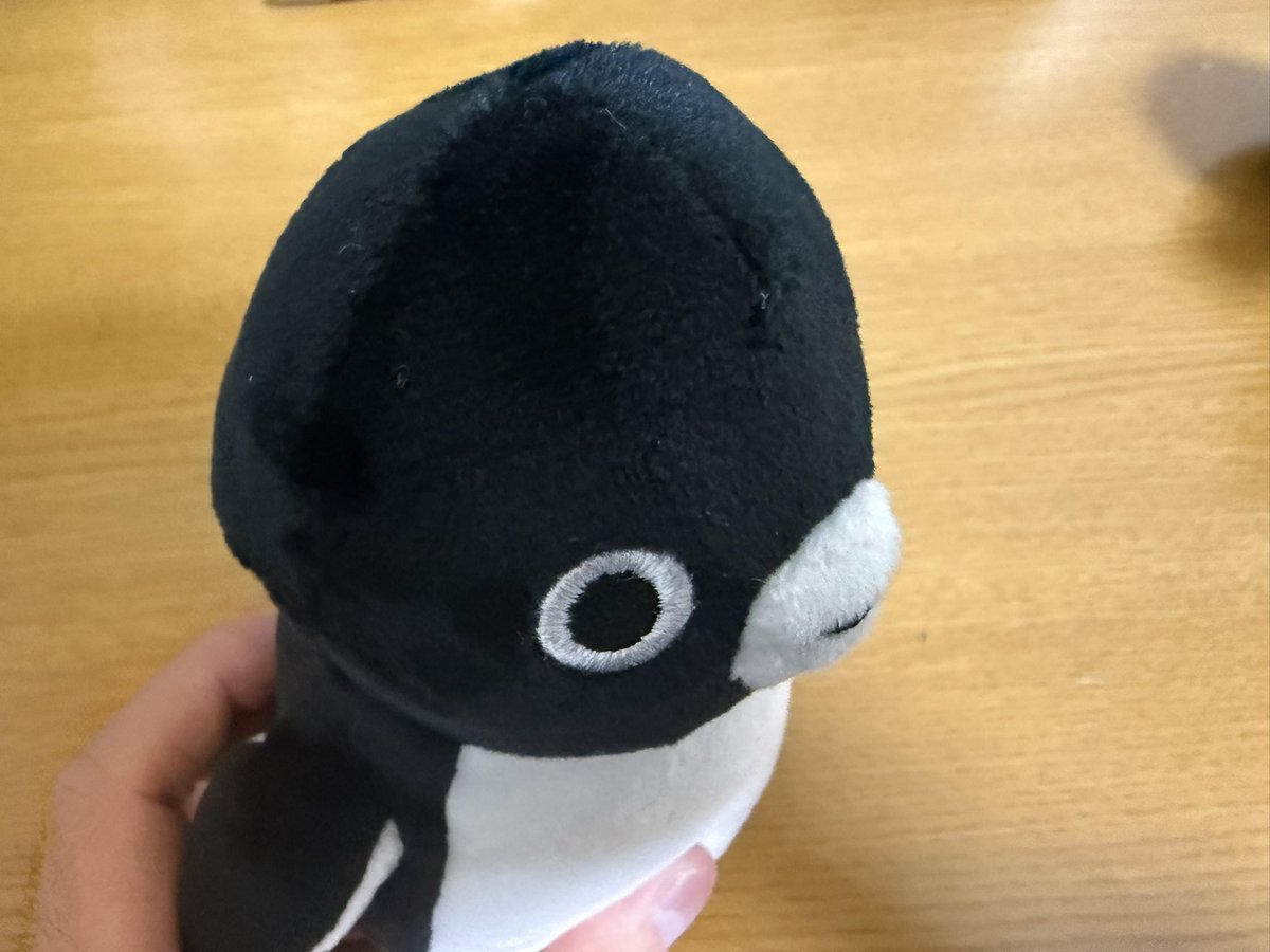 三毛野ニャー子 tweet media