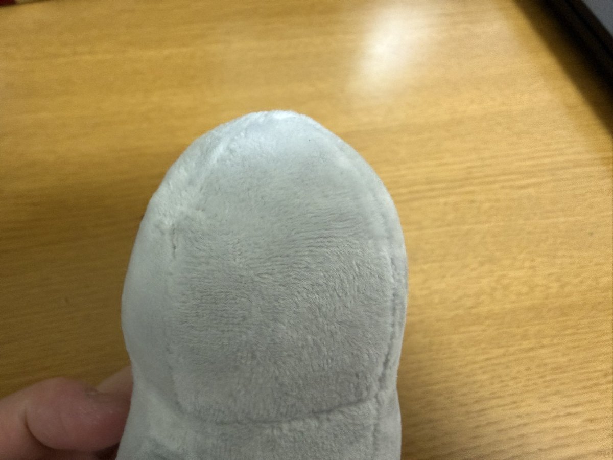 三毛野ニャー子 tweet media