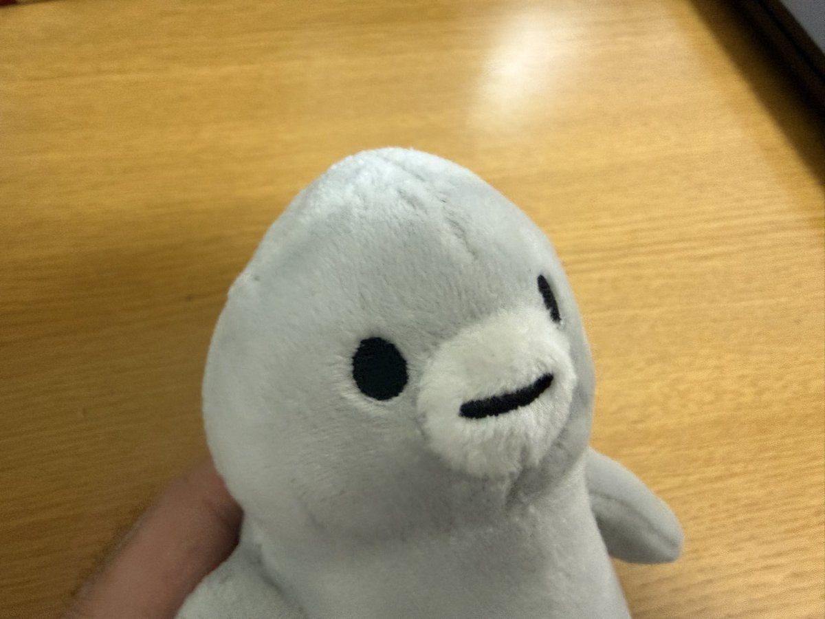 三毛野ニャー子 tweet media