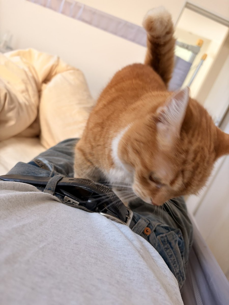 かなこ🕊もう泣かないもん tweet media