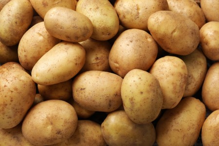 InformistMedia's tweet image. Agri Minister Shivraj Singh Chouhan approves UP’s potato procurement under MIS; extends Karnataka tur procurement by 30 days till May 15.
#Agriculture #Procurement #Farmers #MIS #Tur #Potato #IndiaAgri

More details below:
informistmedia.com/CommodityWire/…