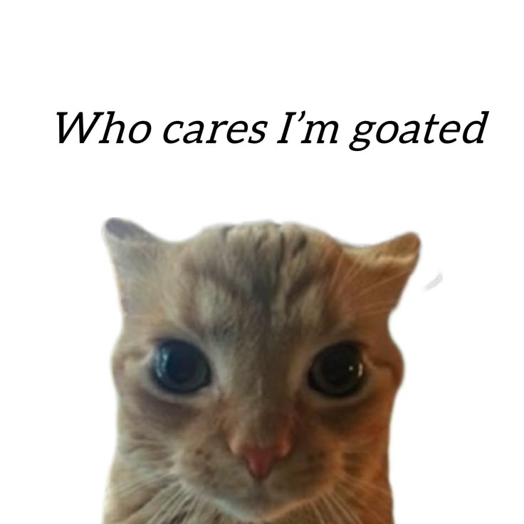 𝐦𝐢𝐦𝐢⁷★ 𝐦𝐨𝐨𝐧 𝐚𝐧𝐝 𝐬𝐭𝐚𝐫 𝐜𝐨𝐥𝐥𝐢𝐝𝐞 tweet media