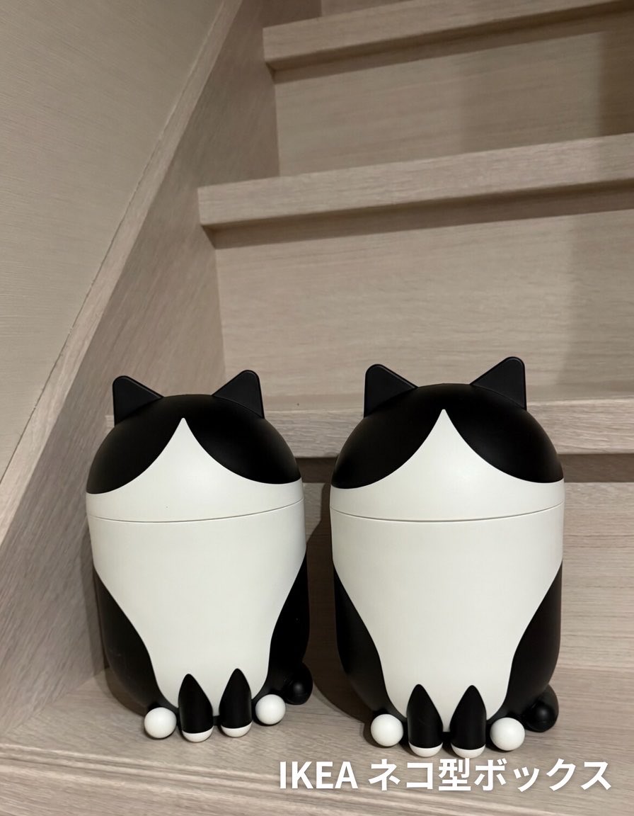 ネコまにあ家《13匹の猫達》 tweet media