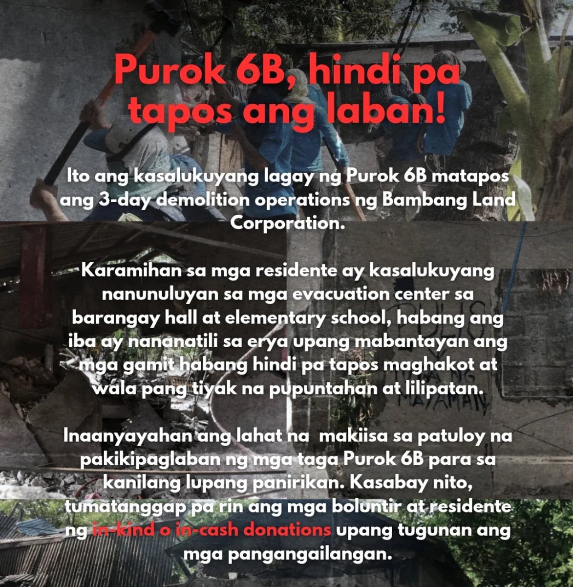 aly d. nalimit tweet media