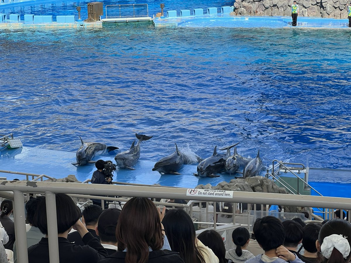 Teru☀️ tweet media