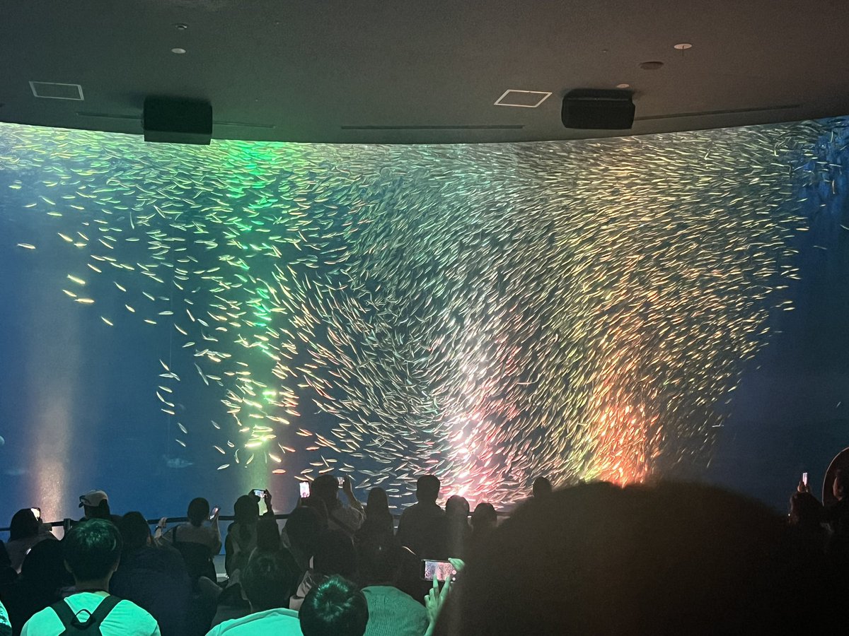 Teru☀️ tweet media