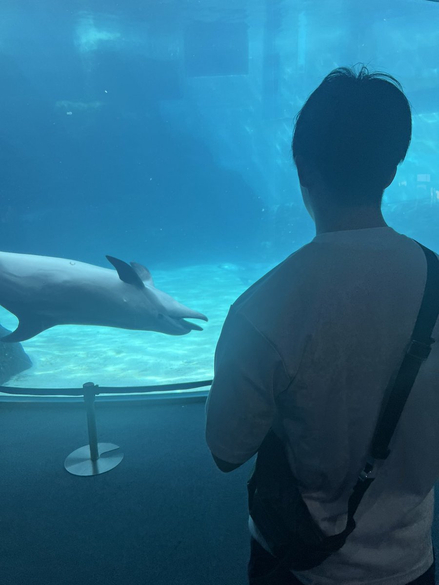 Teru☀️ tweet media