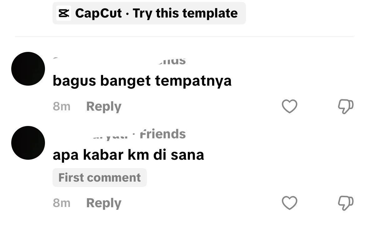 ale 𐙚 tweet media