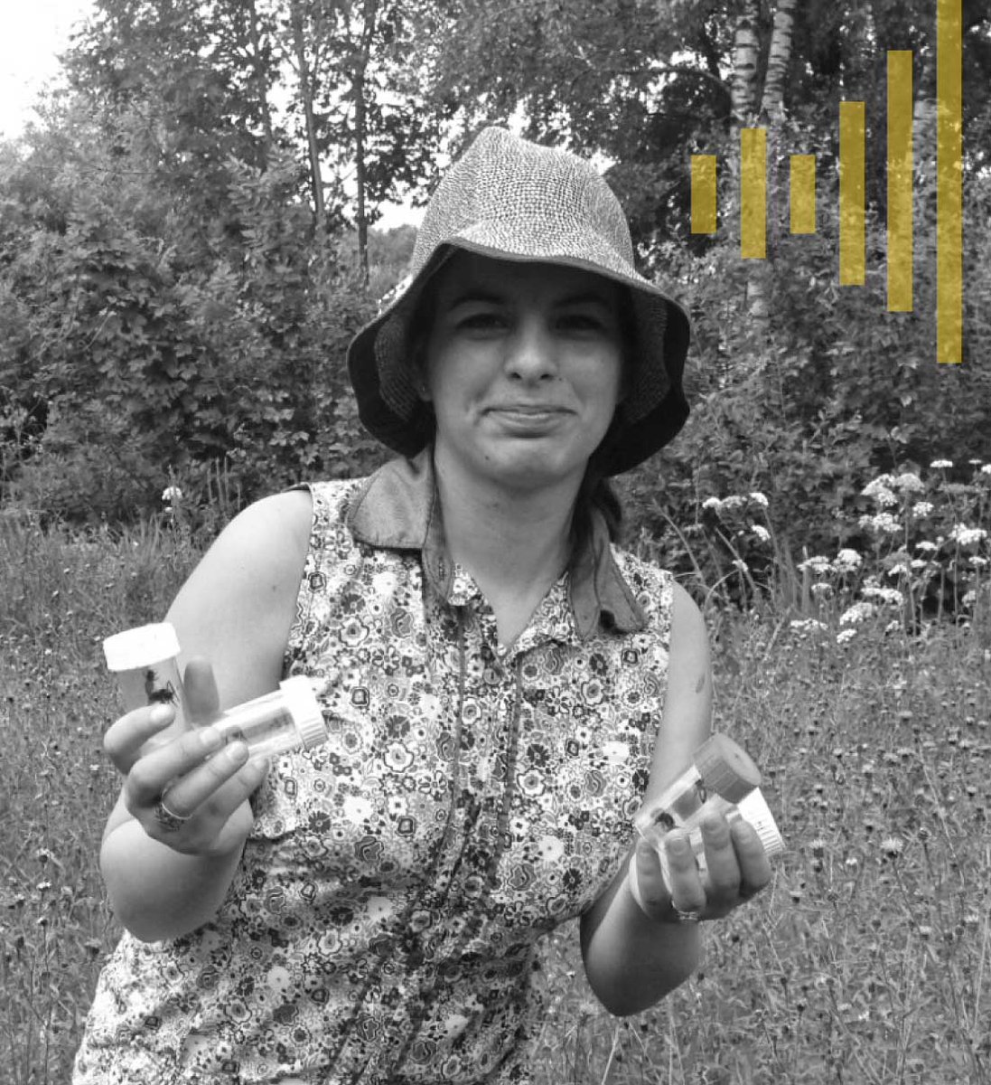 La Miel en tu radio tweet media