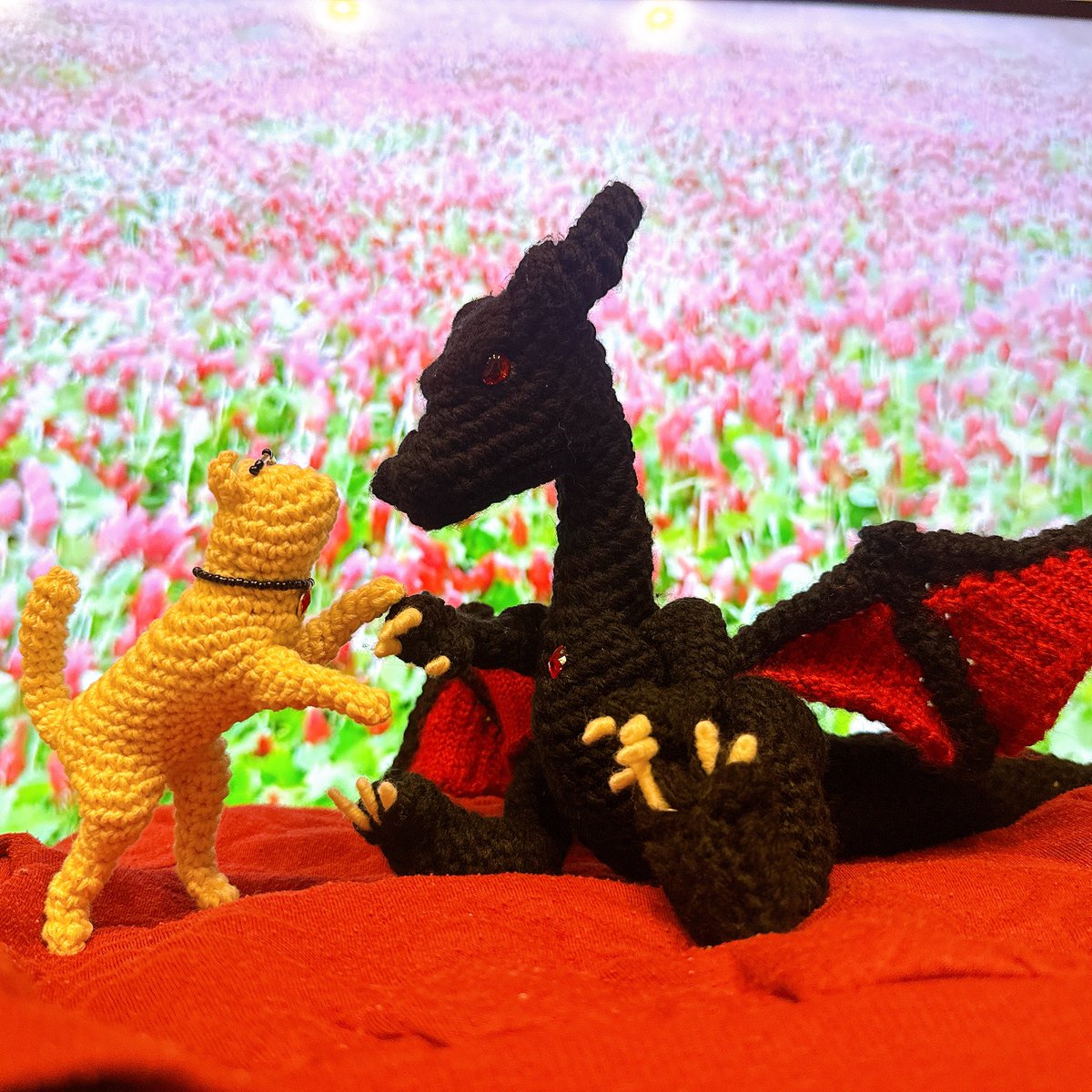 ハゲ散らかしたシンの頭皮 tweet media