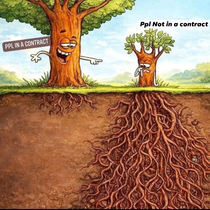 I_amNikkiWhite's tweet image. Let ppl view you as small, let them laugh and critique your path #LetsBeClaire #NikkiWhiteSaidIt #creator #trees #influencer