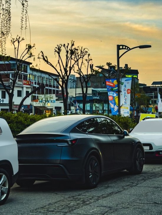 teslachoi테초이 tweet media