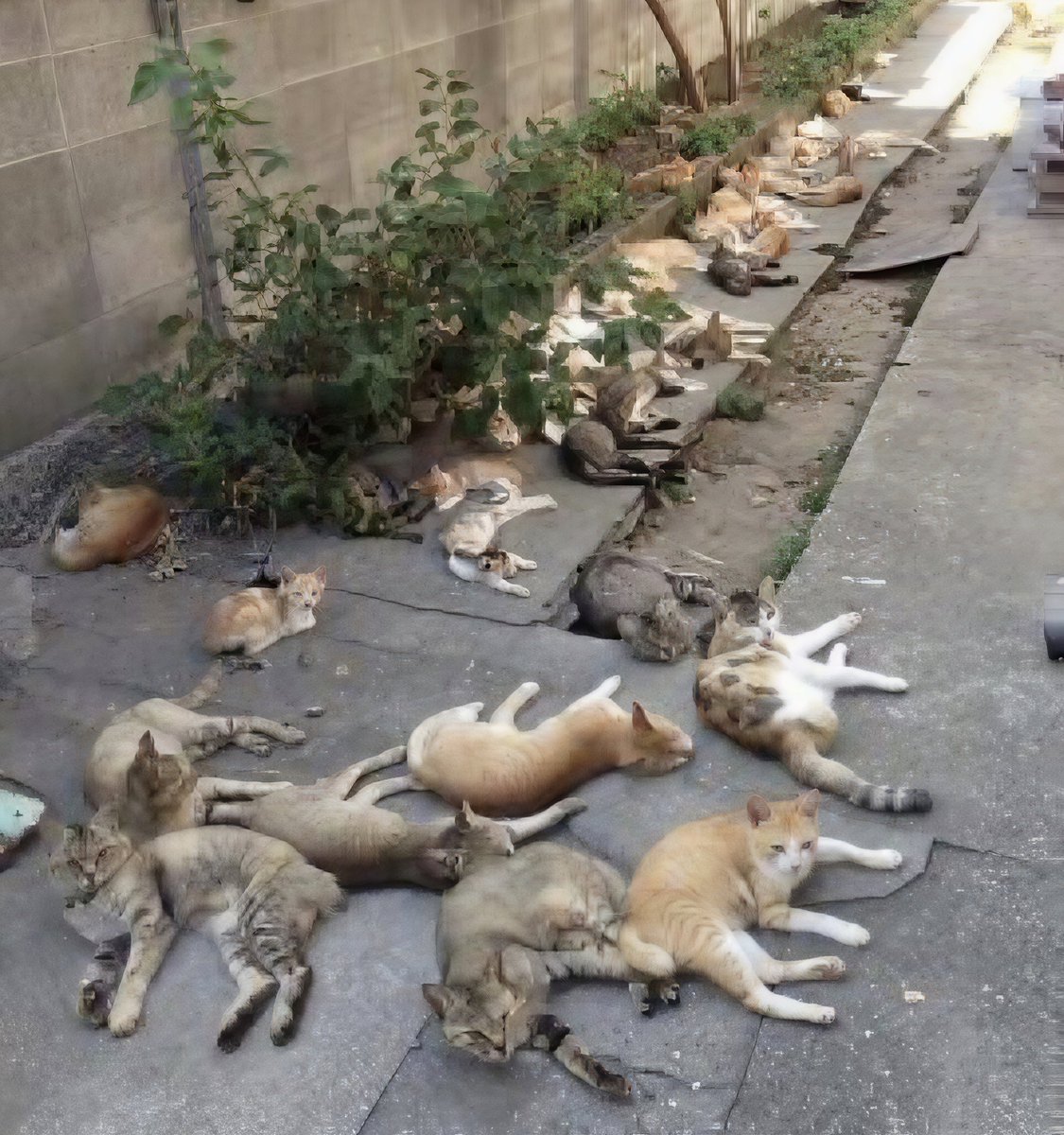 Jessica M tweet media