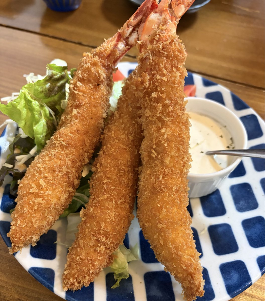 神野大地 Daichi Kamino tweet media