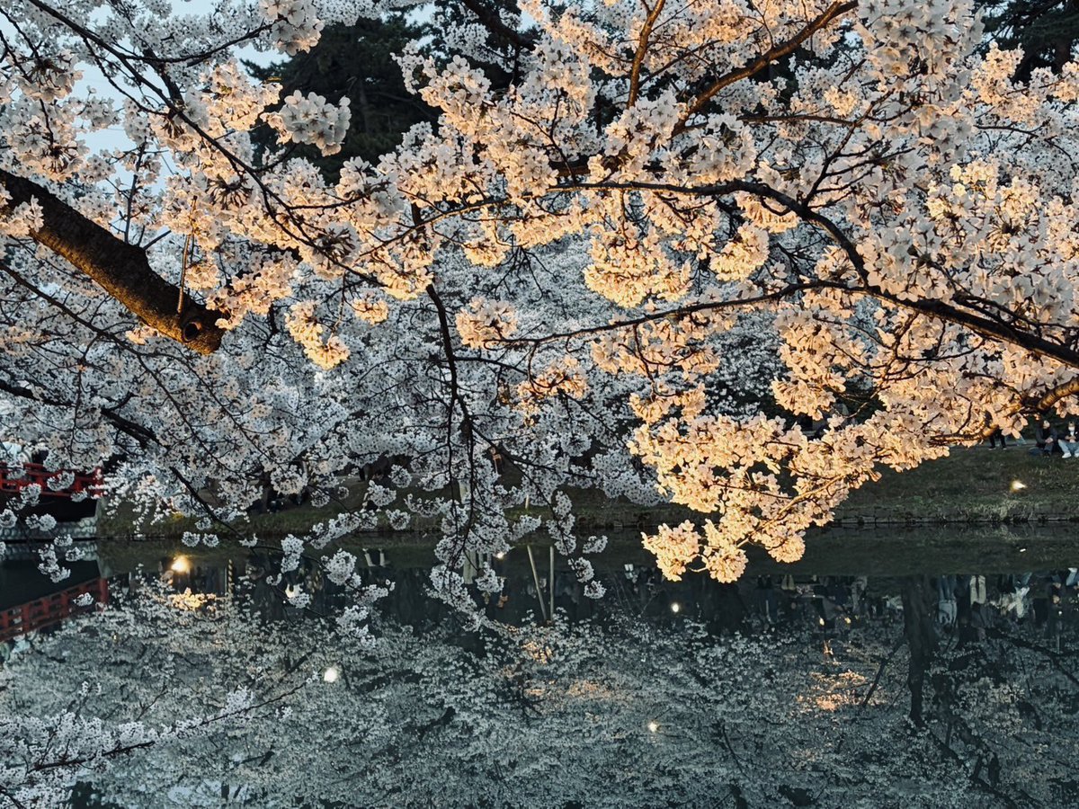 種市 悠人（SWALLOW） tweet media