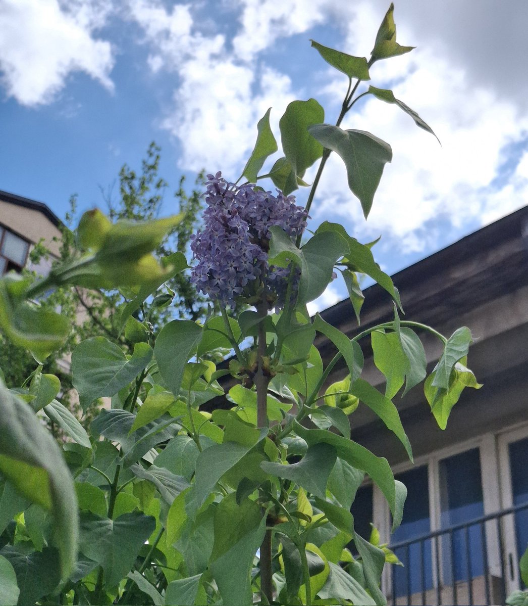 ЅВЕЗДА💫 tweet media