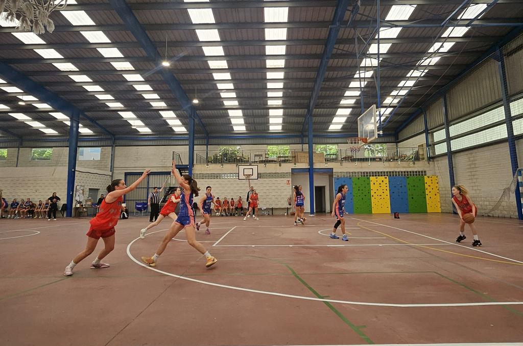 EvaMFerrol's tweet image. 🏀 Partido del @UniFerrol de #LigaGallega infantil en el CEIP de Esteiro. Vamos, niñas! #Ferrol #Bravas 💪🏼