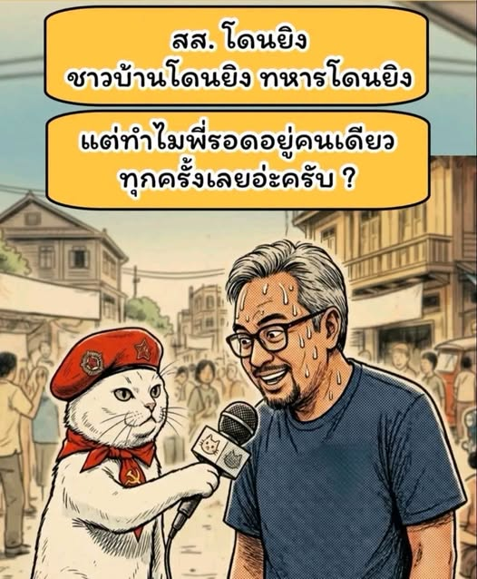 กระบี่ไร้เทียมทาน tweet media