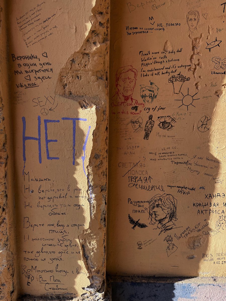 dead jade 🥩 🩸 tweet media