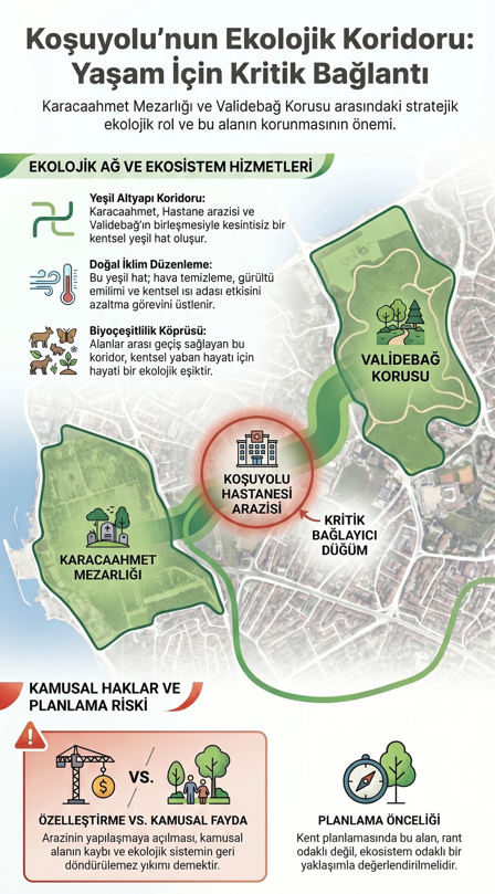 Cihan Erdönmez🌲🐕🖌🚲 tweet media