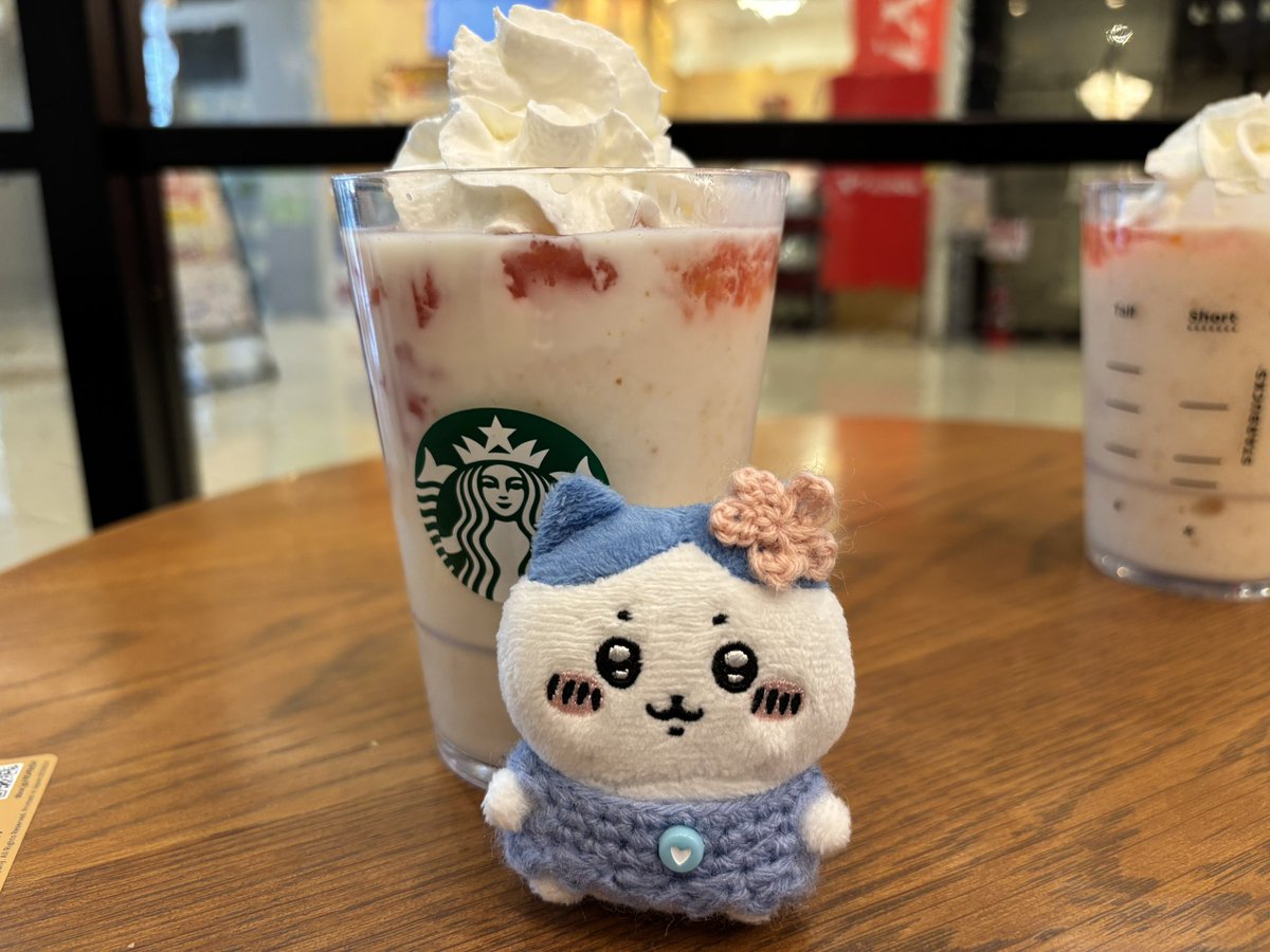 近場のスタバはフルーツヨーグルト✨
これ一番飲みたかったやつ😋
ナッツが底にあって凄く美味しかった〜
ハチワレちゃんもご満足☺️