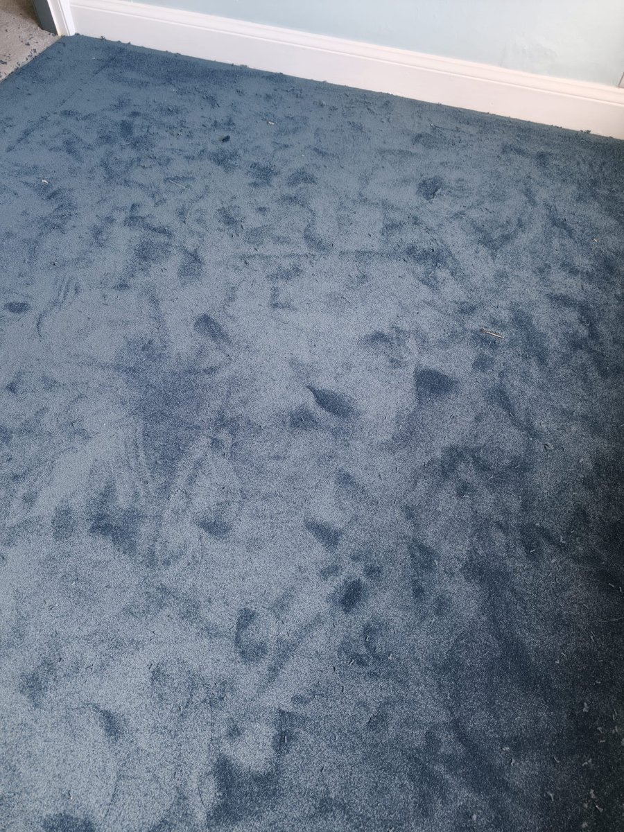 BlacklockCarpet's tweet image. 💎💎We're bringing some blue shades this afternoon - We think the walls in this Bedroom really compliment the newly fitted @AbingdonCarpets Caress #Carpet colour Sapphire 12.💎💎
#Shoplocal #Supportlocal #Beeston #Nottingham #Flooring #AbingdonFlooring