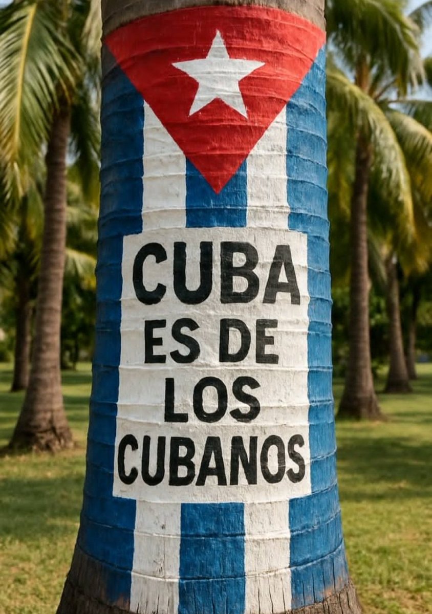 Mary Rodríguez 🇨🇺 tweet media