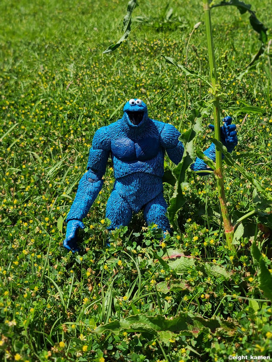 八八 八 ▹ 趣味垢 tweet media