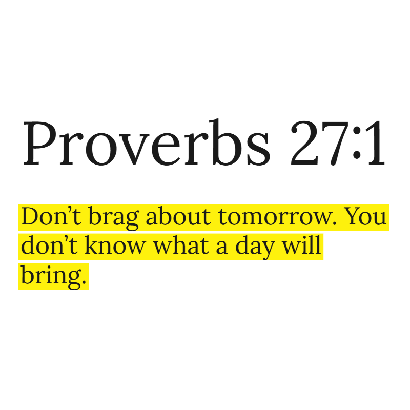 Holy Bible tweet media