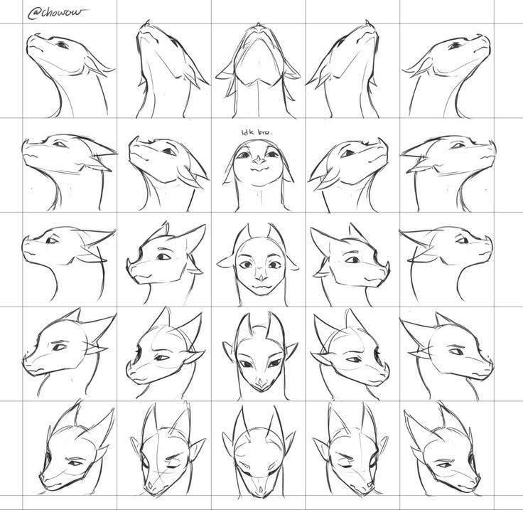 The richest guy tweet media